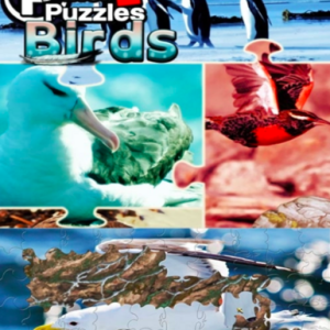 Pixel Puzzles 2: Birds (Steam), Multilanguage, Steam