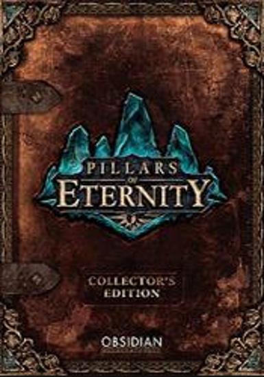 Pillars of Eternity (Champion Edition), Multilanguage, Steam