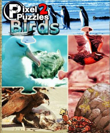 Pixel Puzzles 2: Birds (EU), en, Steam
