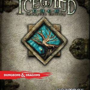 Icewind Dale (Enhanced Edition), Multilanguage, Steam